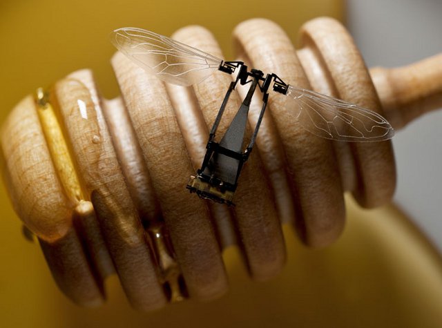 Robobees could help with Disaster Management in the Future