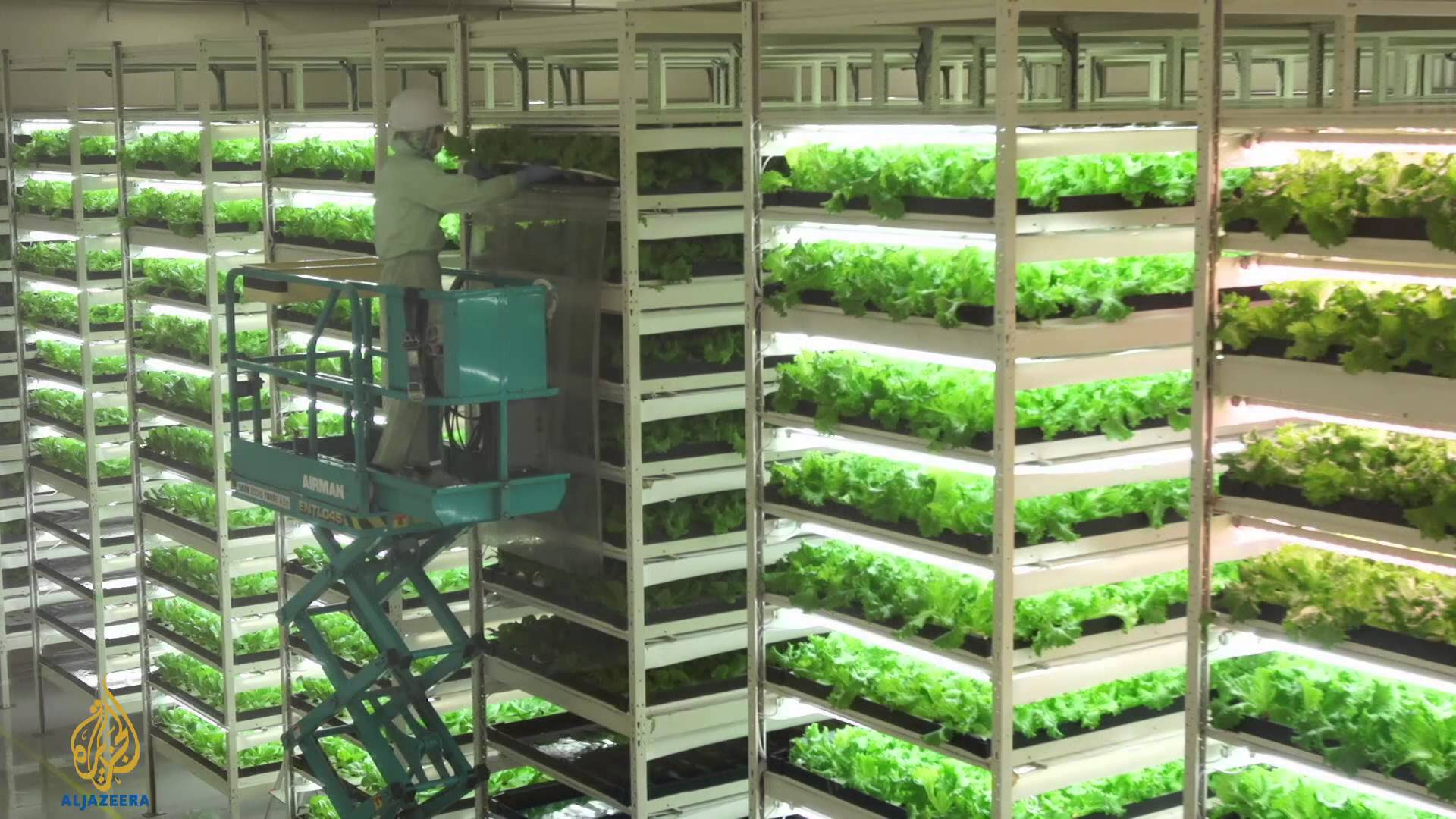 Here is the Future of Farming with Japans Future Farms