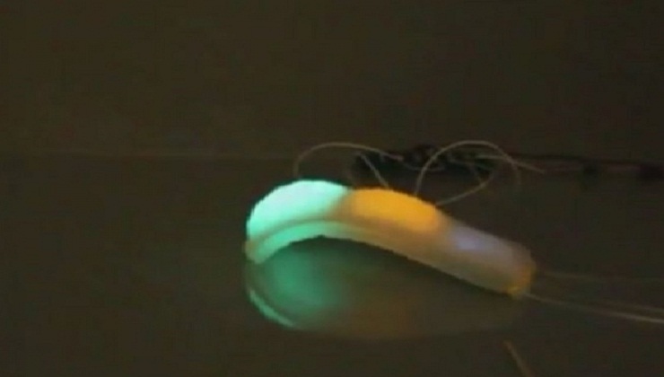 Glowing Octopus Skin for Robots can spell Future of Wearable Technology, Advertisement and More