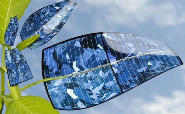 Bionic Leaf Converts Sunlight and Water into Fuel