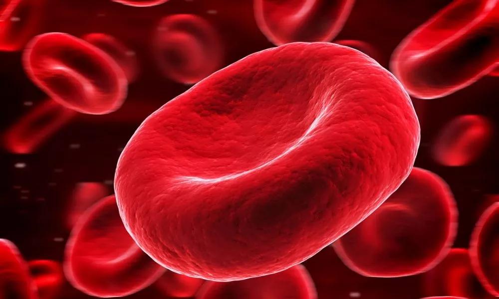 Artificial Blood for the Future?