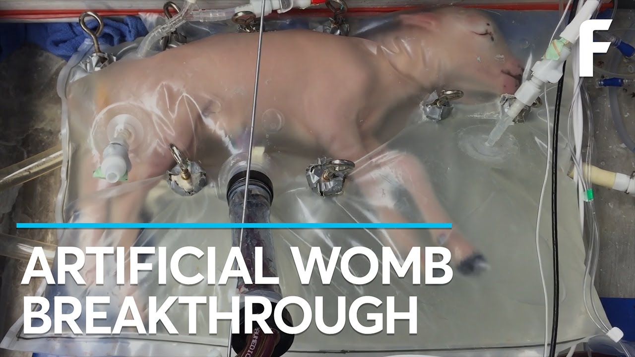 Breaking : Scientists Create an Artificial Womb