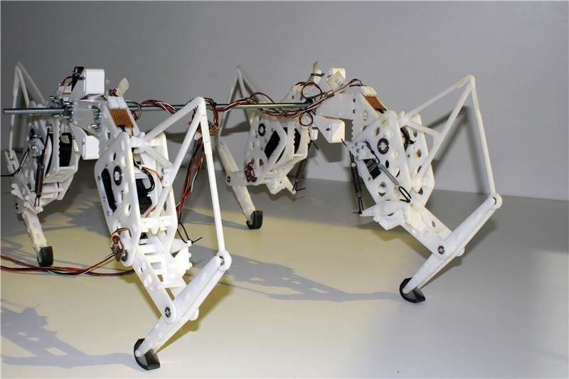 Researchers Create Robotic Cheetah