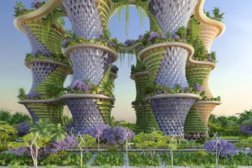 The Future of Farming is Vertical