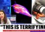 Google’s DeepMind AI Just Decoded Dolphin Language… Experts Went Pale at What It Revealed