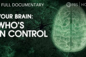 Your Brain: Who’s in Control?