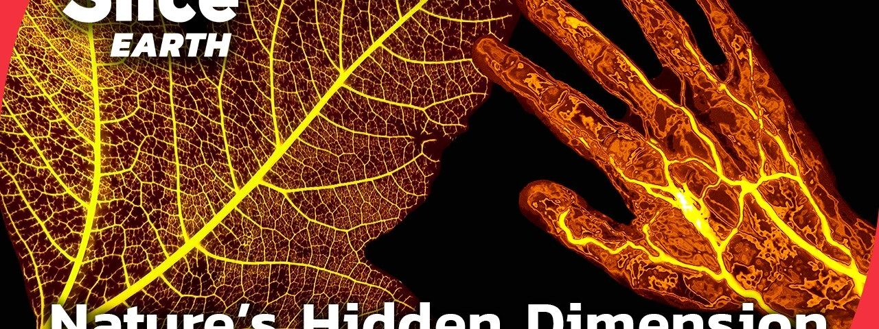 New Scientific Discoveries That Change Everything About Plants