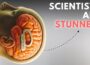 AI Just Made 800 Years of Scientific Discovery in ONE Year! (Nobody Saw This Coming)