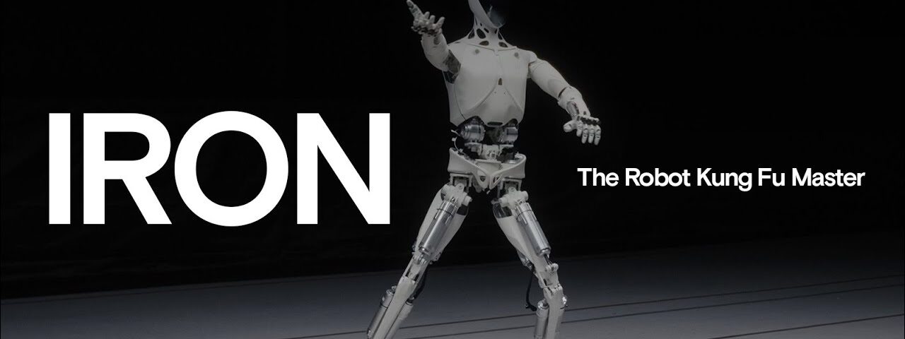 IRON, the Robot Kung Fu Master